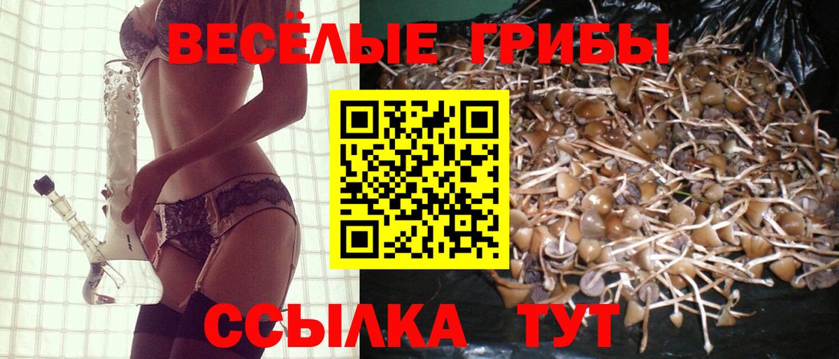 Галлюциногенные грибы Psilocybine cubensis  Вход с VPN  Тимашёвск 